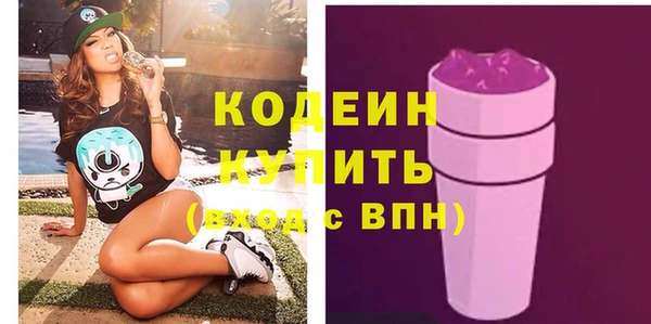 шишки Верея