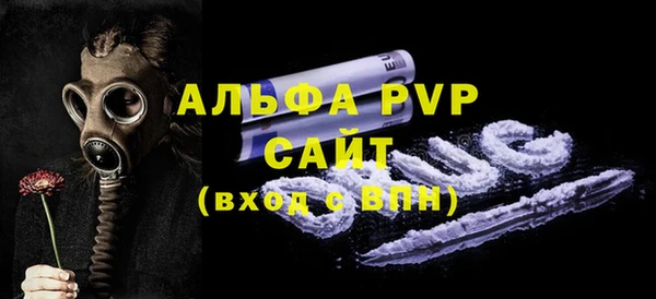 шишки Верея