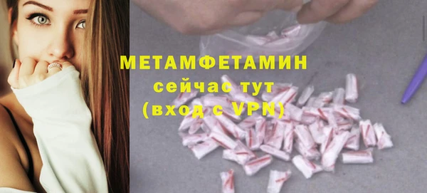шишки Верея