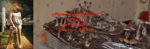 стафф Верхнеуральск