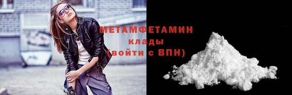 шишки Верея