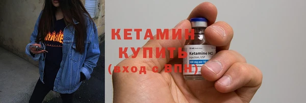 шишки Верея
