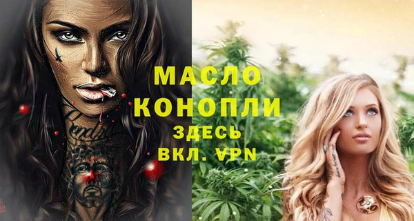 шишки Верея