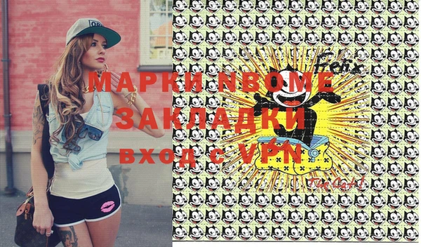 шишки Верея