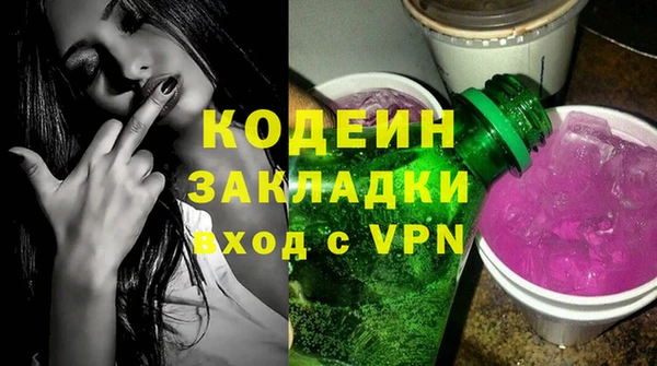 шишки Верея