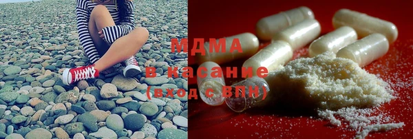 шишки Верея