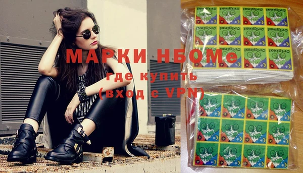 шишки Верея