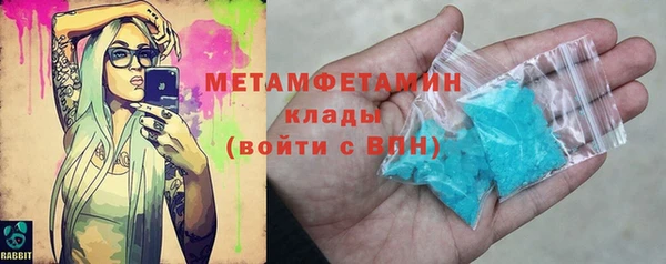 шишки Верея
